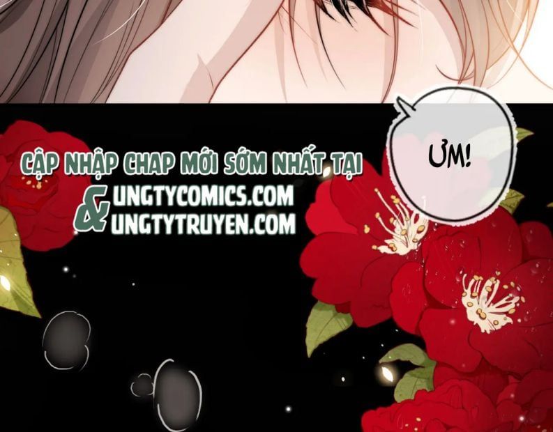 Hắc Hóa Phản Diện Sủng Lên Trời Chapter 11 - Trang 2