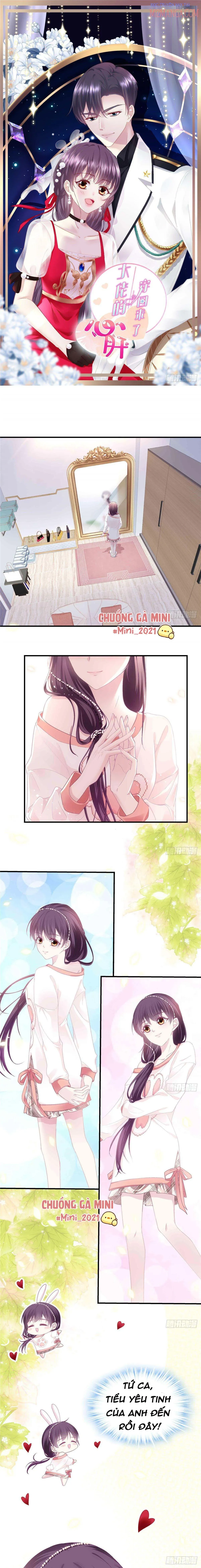 Bảo Bối Tâm Gan Của Lão Đại Xuyên Không Trở Lại Rồi Chapter 9 - Trang 2