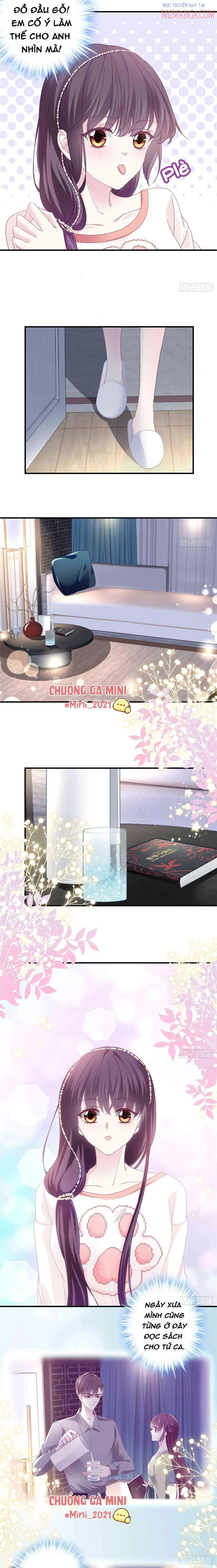 Bảo Bối Tâm Gan Của Lão Đại Xuyên Không Trở Lại Rồi Chapter 9 - Trang 2