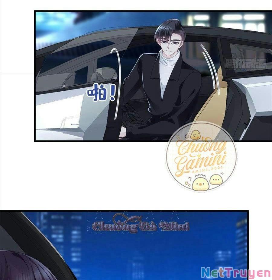 Bảo Bối Tâm Gan Của Lão Đại Xuyên Không Trở Lại Rồi Chapter 64 - Trang 2