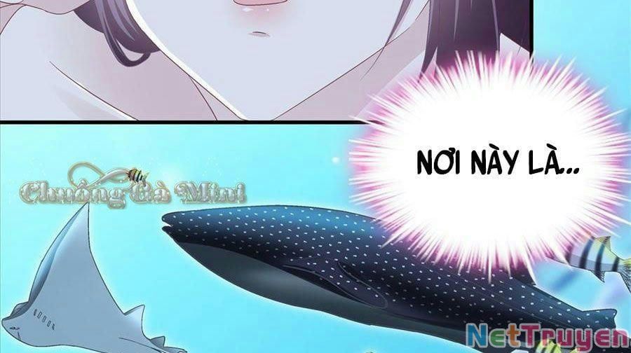 Bảo Bối Tâm Gan Của Lão Đại Xuyên Không Trở Lại Rồi Chapter 64 - Trang 2