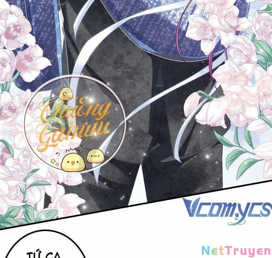 Bảo Bối Tâm Gan Của Lão Đại Xuyên Không Trở Lại Rồi Chapter 89 - Trang 2