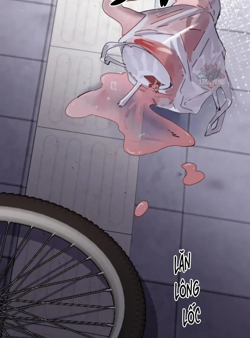 Em Gái Bệnh Hoạn Chỉ Muốn Tôi Lúc Nào Cũng Bắt Nạt Cô Ấy Chapter 81 - Trang 2