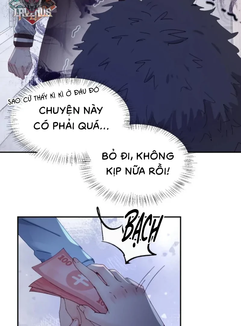 Em Gái Bệnh Hoạn Chỉ Muốn Tôi Lúc Nào Cũng Bắt Nạt Cô Ấy Chapter 81 - Trang 2