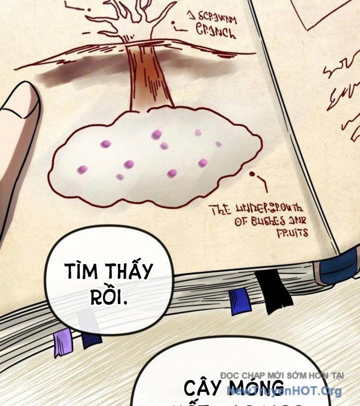 Vampire Giả Kim Thuật Sư Chapter 4 - Trang 2