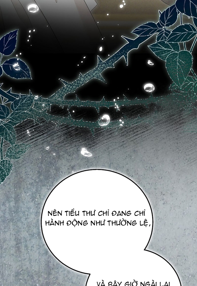 Thiếu Nữ Bị Ruồng Bỏ: Kế Hoạch Báo Thù Của Gia Tộc Pháp Sư Chapter 16 - Trang 2