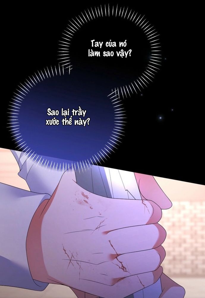 Thiếu Nữ Bị Ruồng Bỏ: Kế Hoạch Báo Thù Của Gia Tộc Pháp Sư Chapter 27 - Trang 2