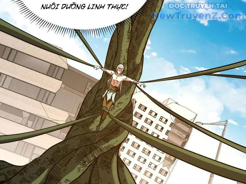 Ma Tu Tái Sinh: Khởi Đầu Nhặt Được Một Hành Tinh Zombie Chapter 41 - Trang 2
