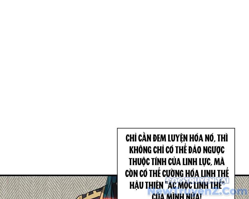 Ma Tu Tái Sinh: Khởi Đầu Nhặt Được Một Hành Tinh Zombie Chapter 42 - Trang 2