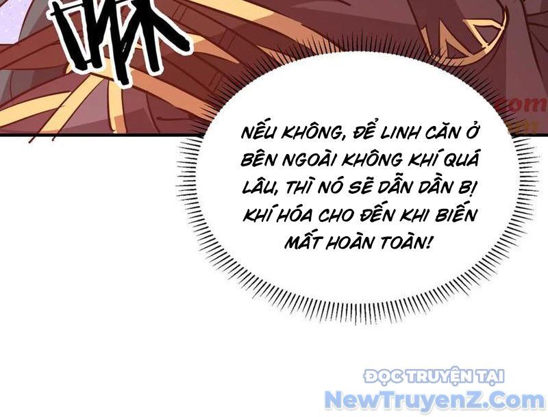 Ma Tu Tái Sinh: Khởi Đầu Nhặt Được Một Hành Tinh Zombie Chapter 42 - Trang 2