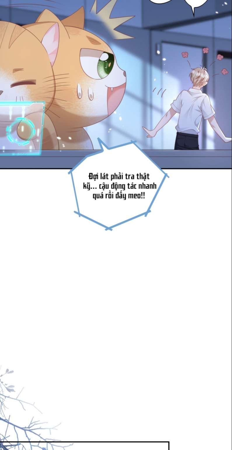 Nhân Thê Thụ Bị Bắt Tiếp Kịch Bản Cường Thụ Chapter 8 - Trang 2
