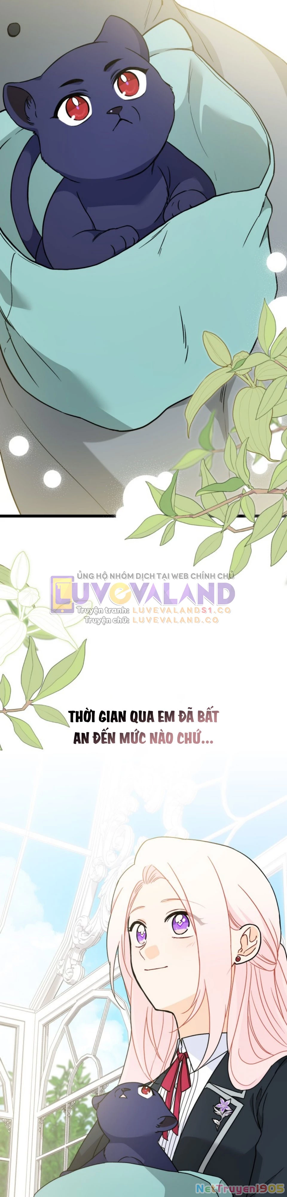 Mối Liên Kết Giữa Báo Đen Và Bé Thỏ Chapter 163 - Trang 2