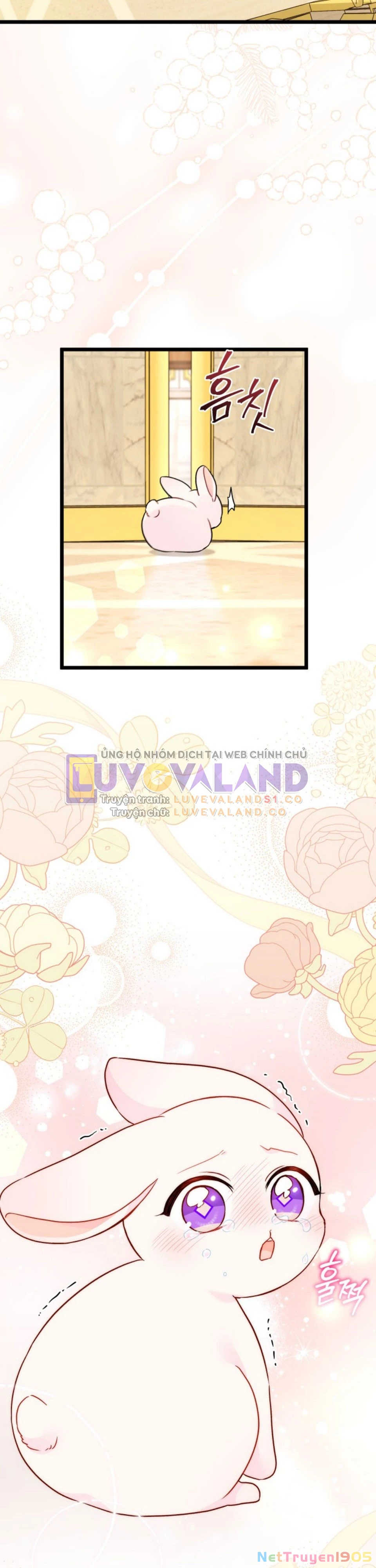 Mối Liên Kết Giữa Báo Đen Và Bé Thỏ Chapter 168 - Trang 2