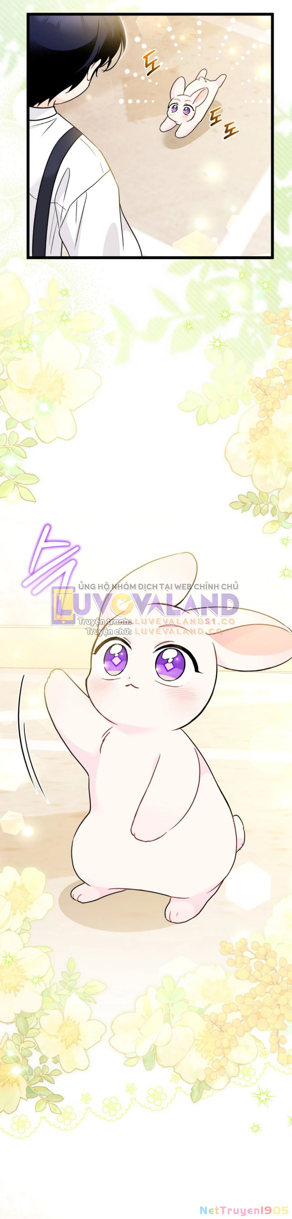 Mối Liên Kết Giữa Báo Đen Và Bé Thỏ Chapter 168 - Trang 2