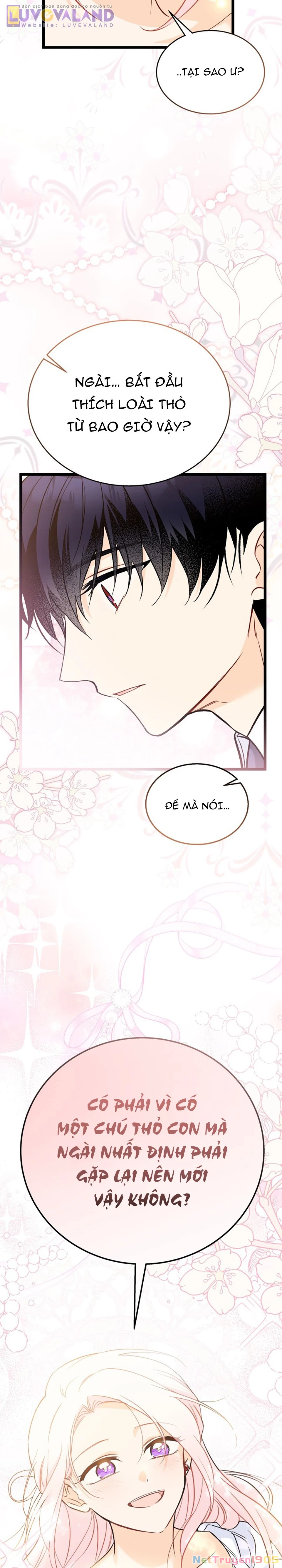 Mối Liên Kết Giữa Báo Đen Và Bé Thỏ Chapter 182 - Trang 2