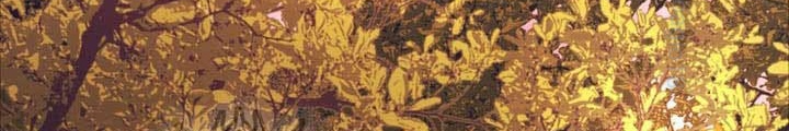 Thiên Tài Võ Thuật Hồi Quy Chapter 103 - Trang 2
