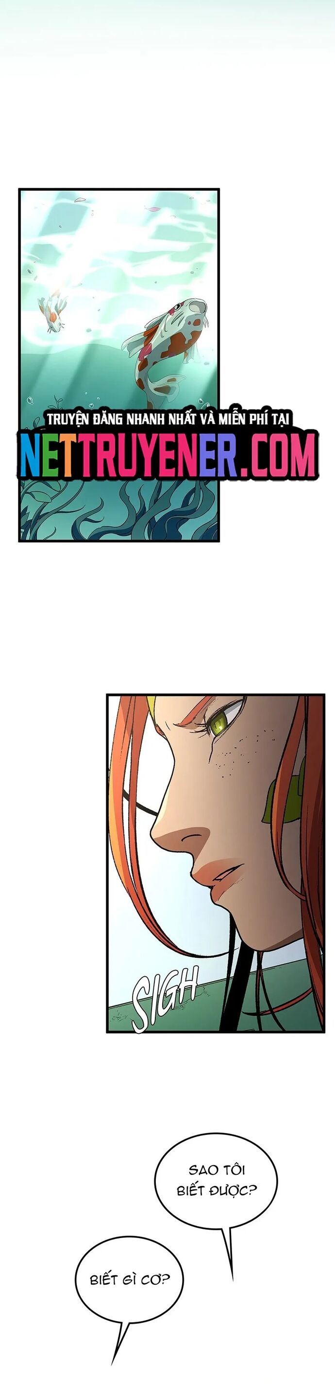 Sự Trở Lại Của Giáo Sư Runebound Chapter 35 - Trang 2