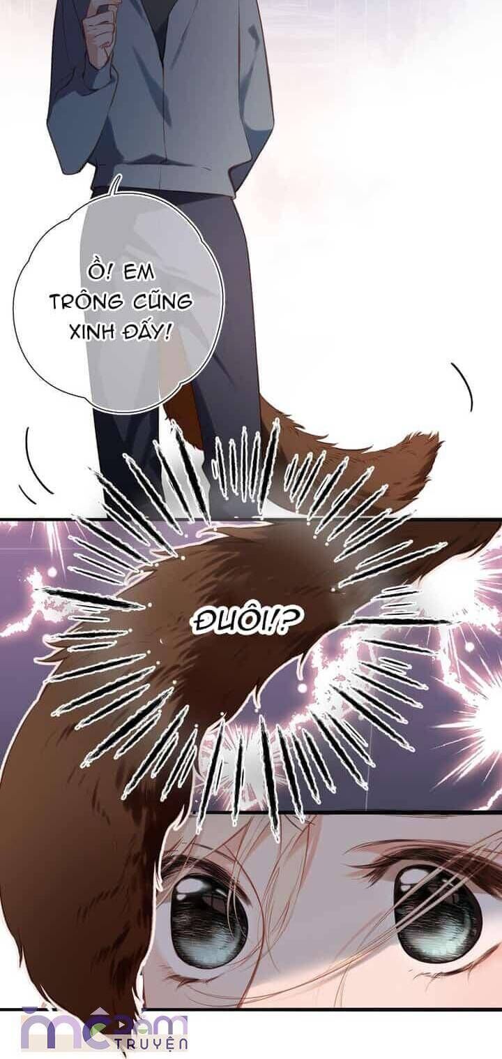 Dã Thú Khi Yêu Chapter 31 - Trang 2