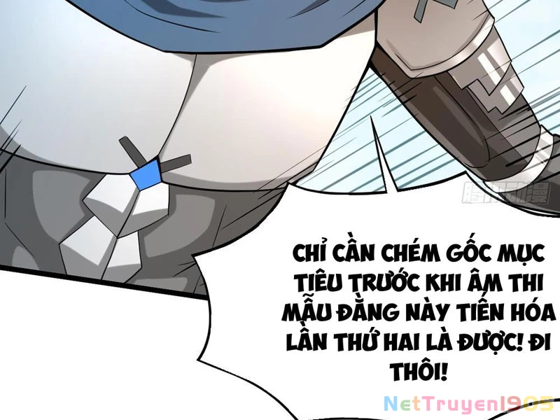 Ta Bắt Quái Thú Ở Tận Thế Chapter 8 - Trang 2