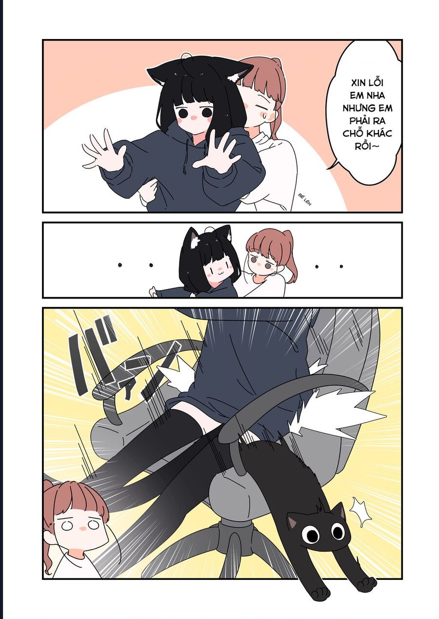 Câu Chuyện Về Con Mèo Đen Tự Nhiên Biến Thành Người. Chapter 2 - Trang 2