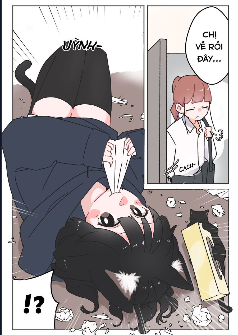 Câu Chuyện Về Con Mèo Đen Tự Nhiên Biến Thành Người. Chapter 8 - Trang 2