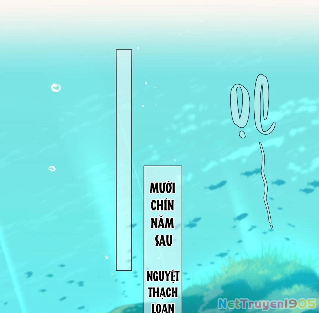 Đông Hải Tìm Mỹ Nhân Chapter 1 - Trang 2