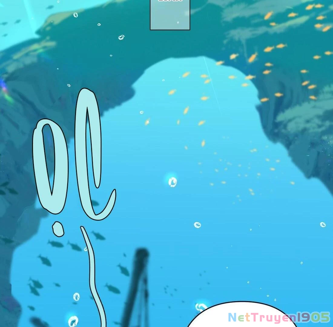 Đông Hải Tìm Mỹ Nhân Chapter 1 - Trang 2