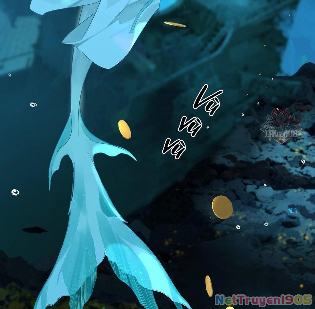 Đông Hải Tìm Mỹ Nhân Chapter 1 - Trang 2