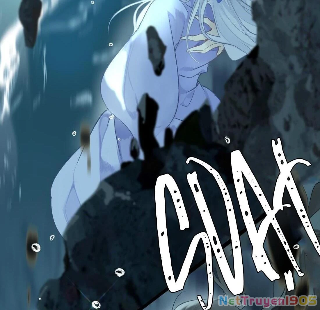 Đông Hải Tìm Mỹ Nhân Chapter 1 - Trang 2