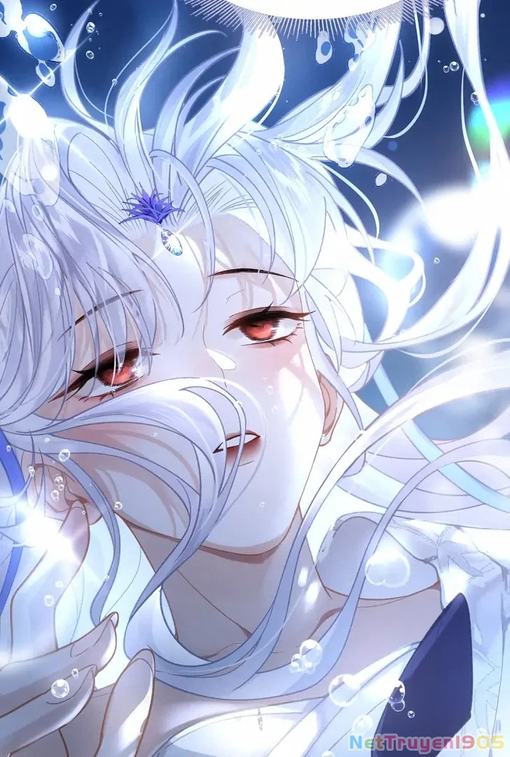 Đông Hải Tìm Mỹ Nhân Chapter 9 - Trang 2