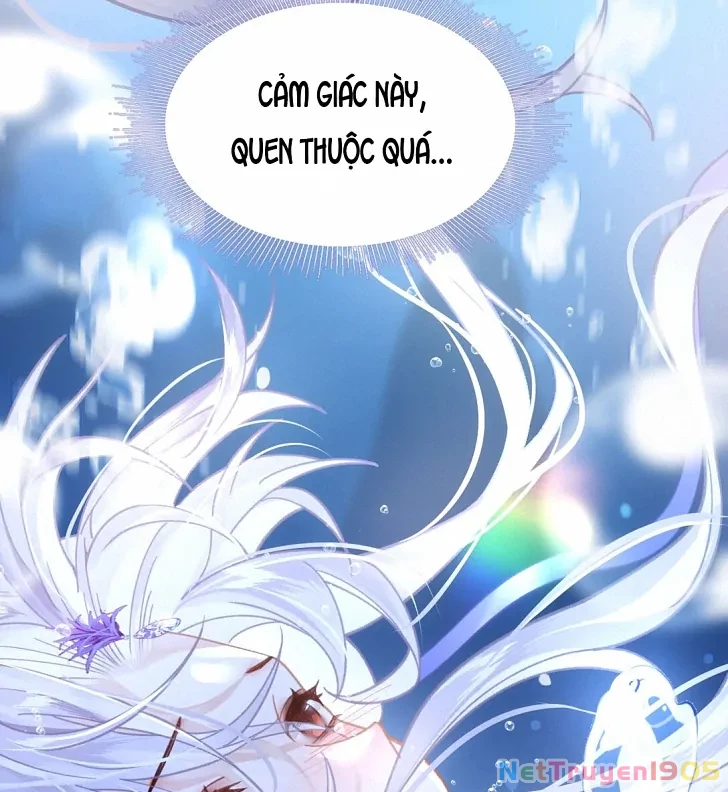 Đông Hải Tìm Mỹ Nhân Chapter 9 - Trang 2