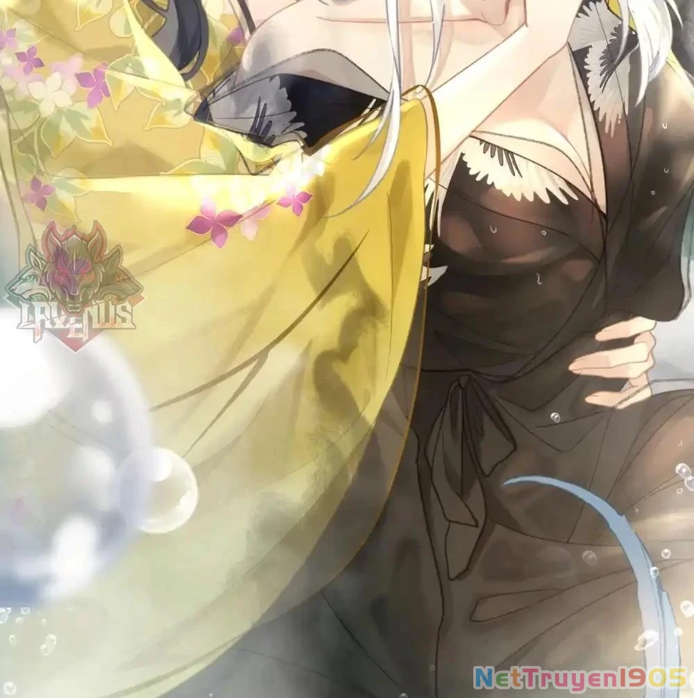 Đông Hải Tìm Mỹ Nhân Chapter 10 - Trang 2