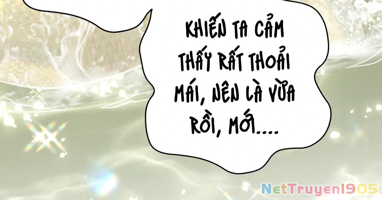 Đông Hải Tìm Mỹ Nhân Chapter 11 - Trang 2