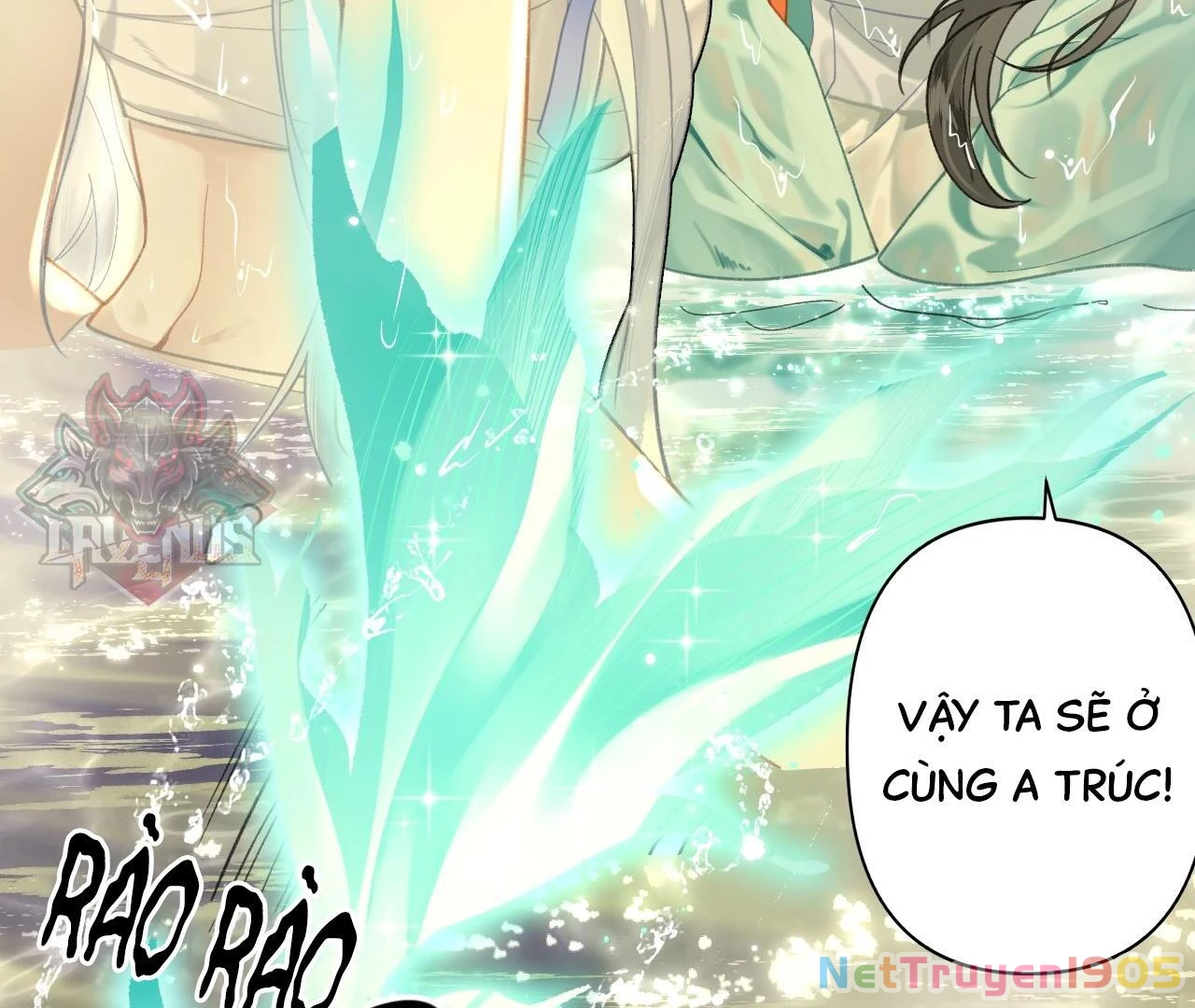 Đông Hải Tìm Mỹ Nhân Chapter 11 - Trang 2