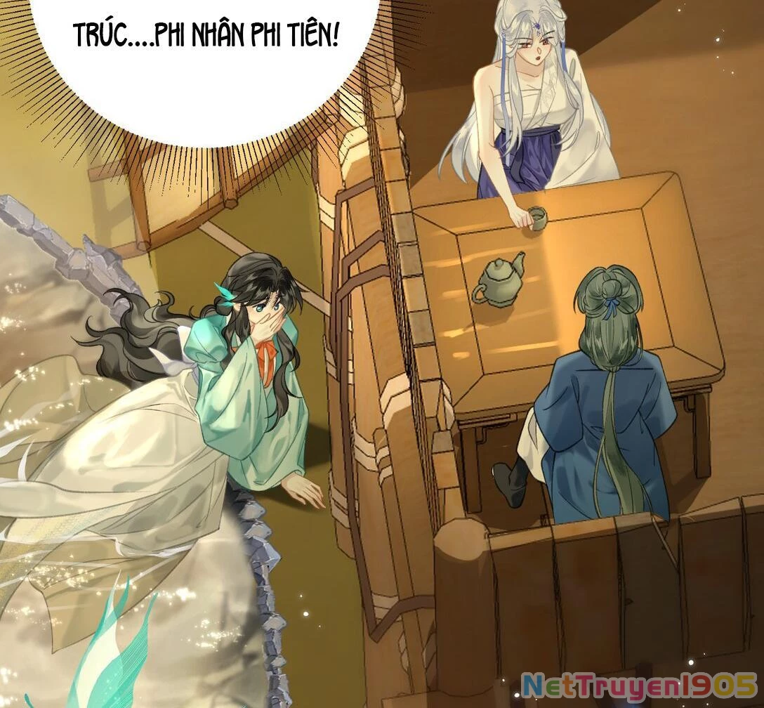 Đông Hải Tìm Mỹ Nhân Chapter 12 - Trang 2