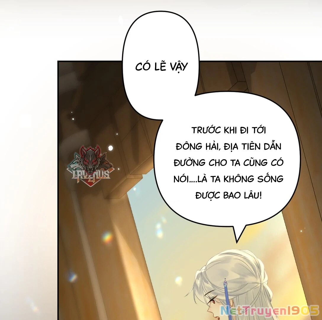 Đông Hải Tìm Mỹ Nhân Chapter 12 - Trang 2