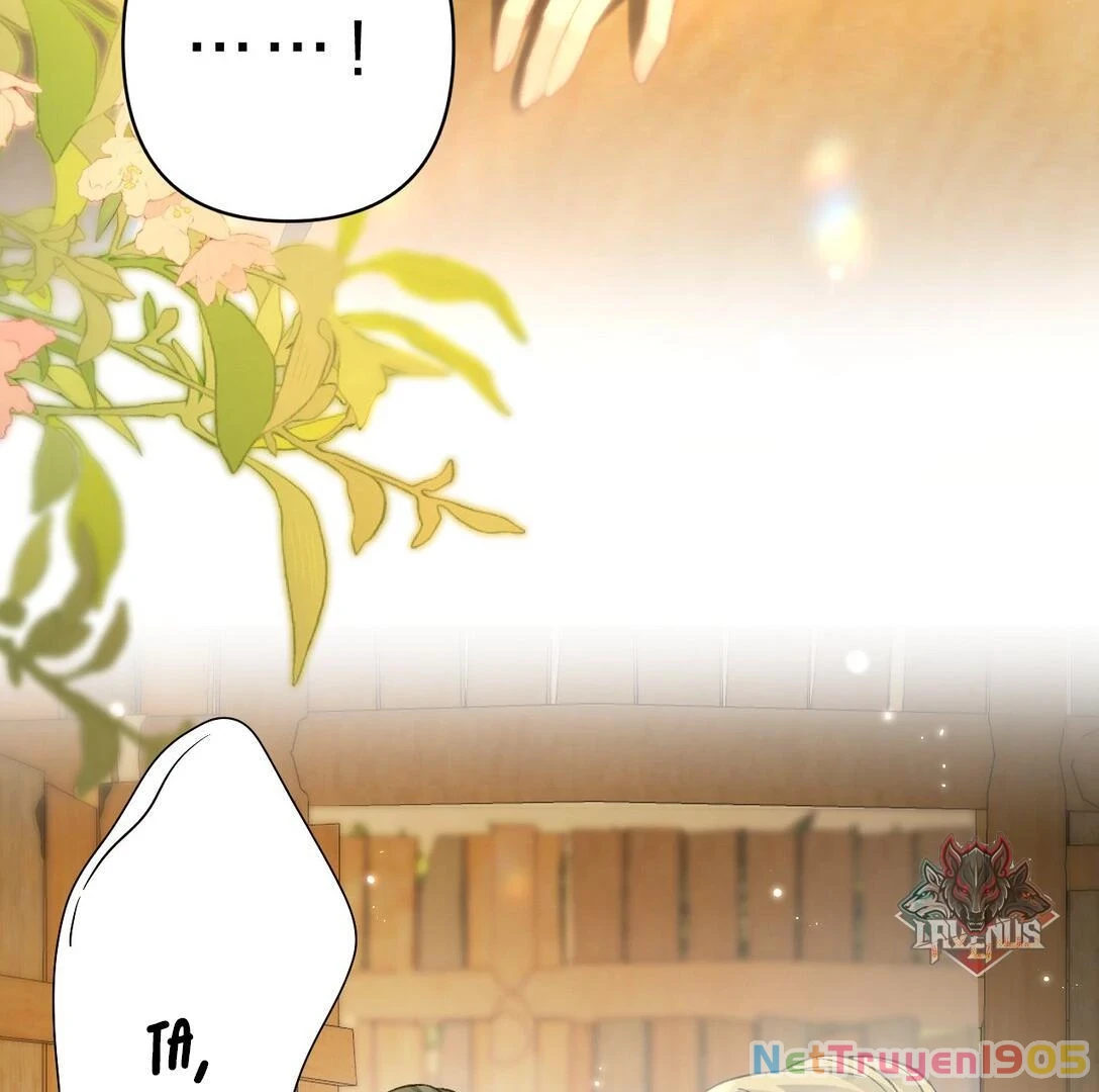 Đông Hải Tìm Mỹ Nhân Chapter 12 - Trang 2