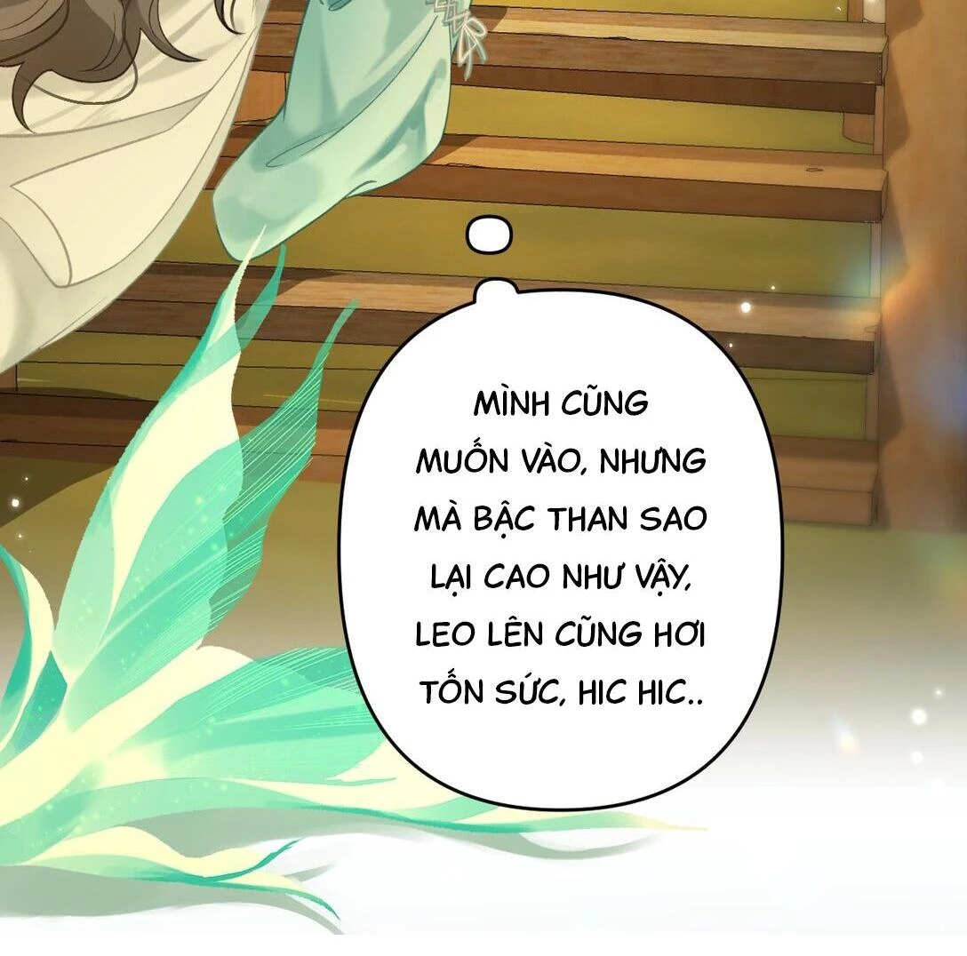 Đông Hải Tìm Mỹ Nhân Chapter 12 - Trang 2