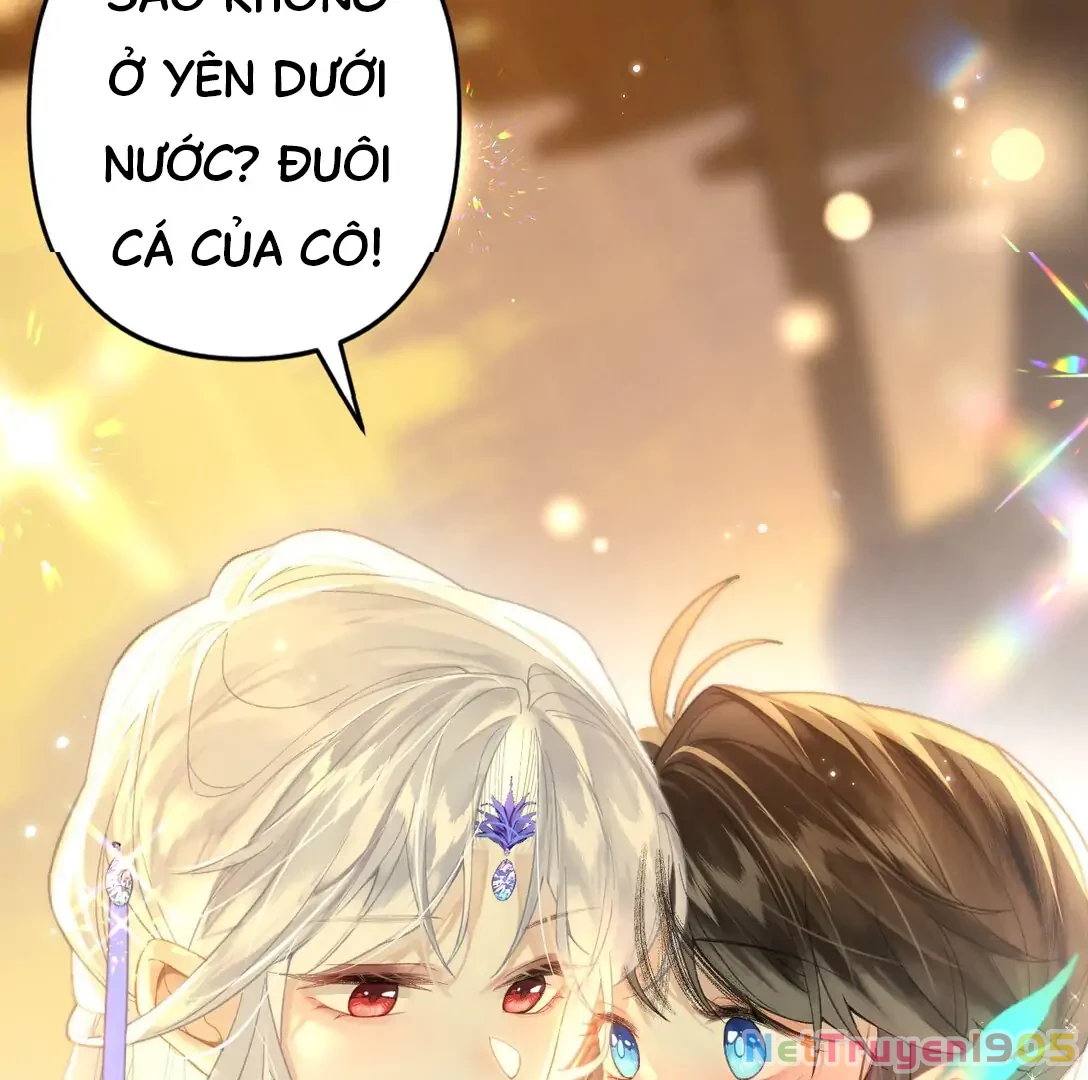 Đông Hải Tìm Mỹ Nhân Chapter 12 - Trang 2