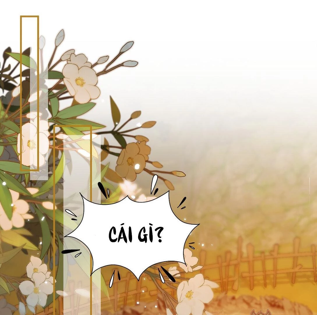 Đông Hải Tìm Mỹ Nhân Chapter 12 - Trang 2