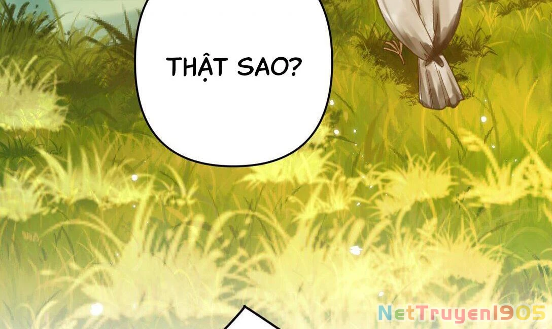 Đông Hải Tìm Mỹ Nhân Chapter 12 - Trang 2