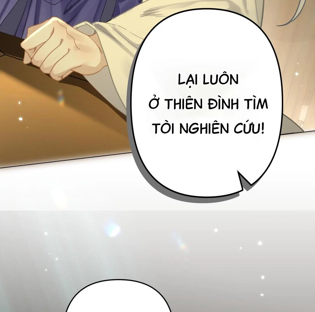 Đông Hải Tìm Mỹ Nhân Chapter 12 - Trang 2