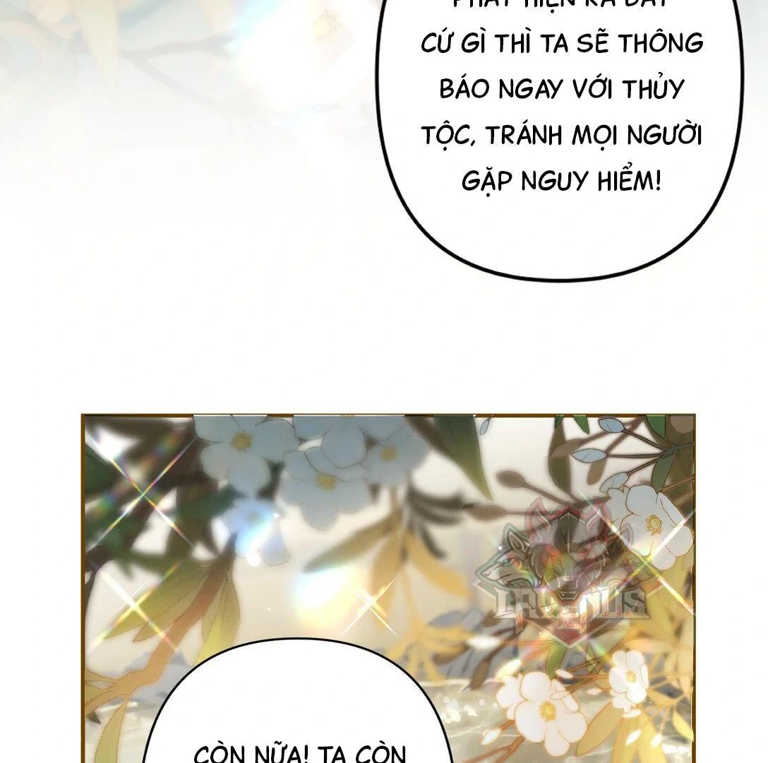 Đông Hải Tìm Mỹ Nhân Chapter 13 - Trang 2