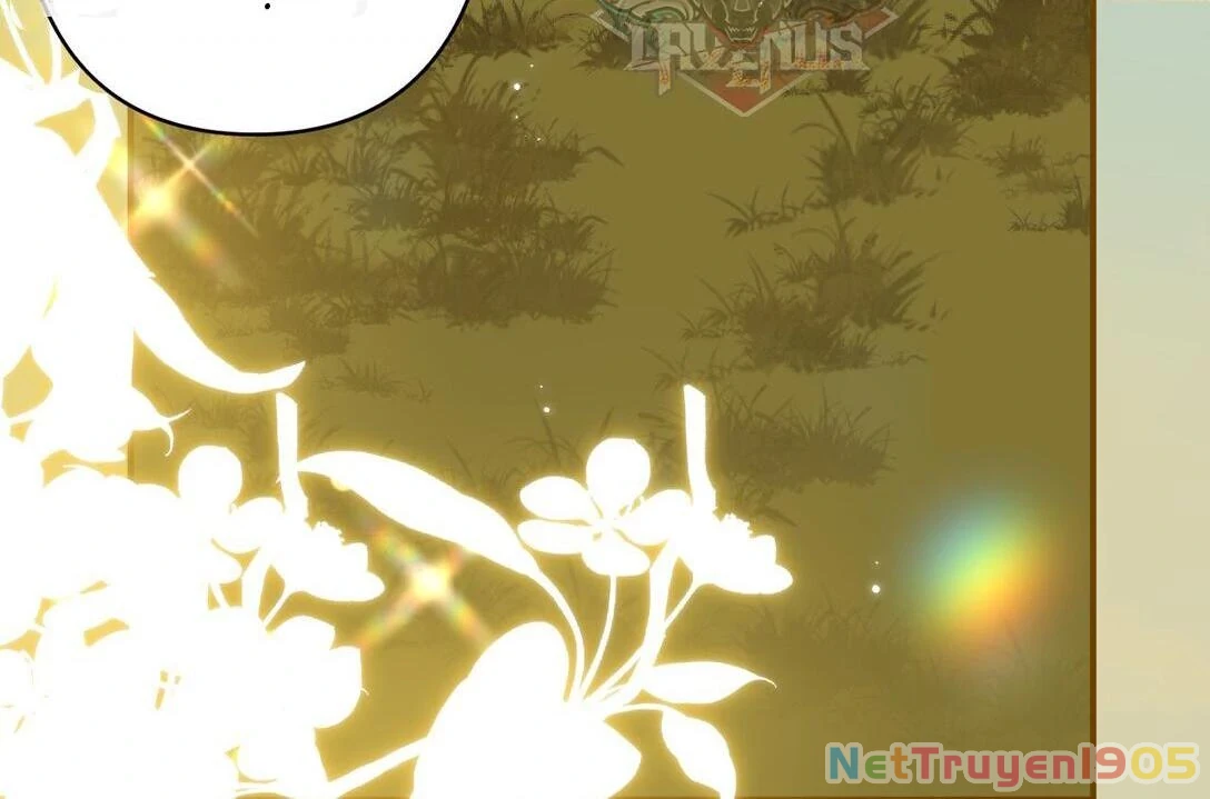 Đông Hải Tìm Mỹ Nhân Chapter 13 - Trang 2