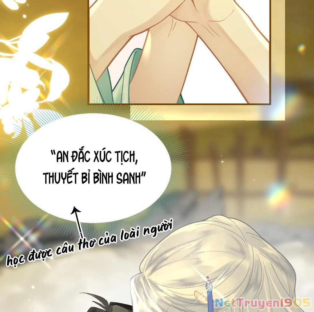 Đông Hải Tìm Mỹ Nhân Chapter 13 - Trang 2