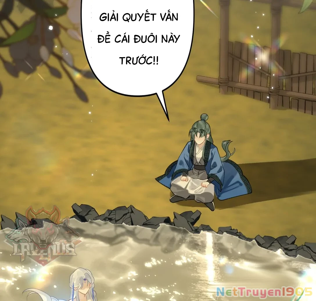 Đông Hải Tìm Mỹ Nhân Chapter 13 - Trang 2