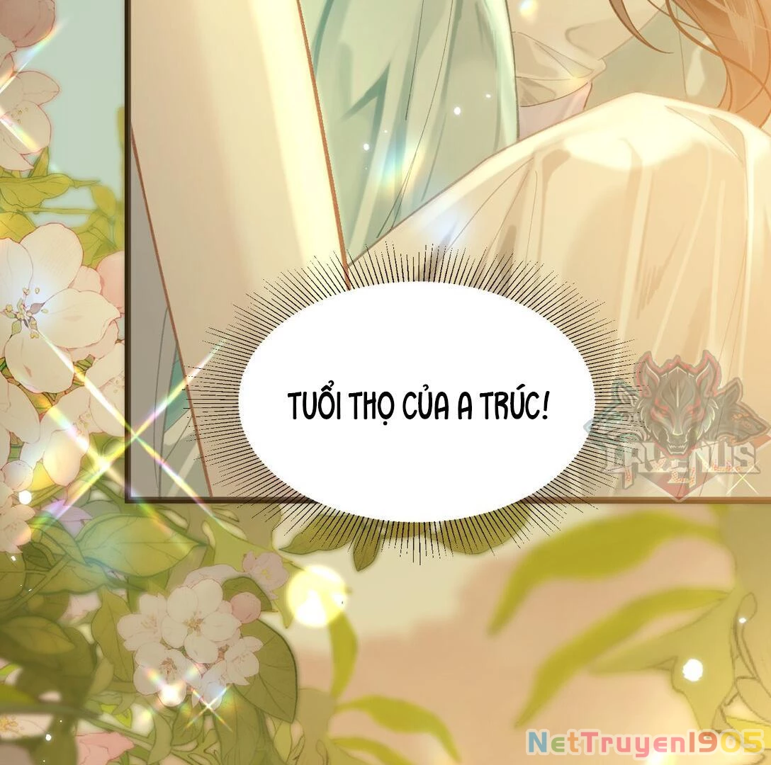 Đông Hải Tìm Mỹ Nhân Chapter 13 - Trang 2