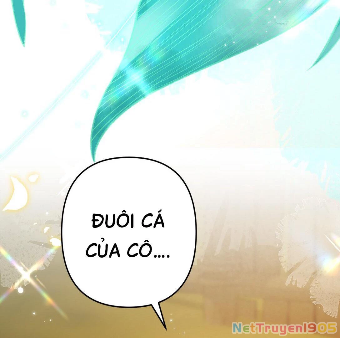 Đông Hải Tìm Mỹ Nhân Chapter 13 - Trang 2