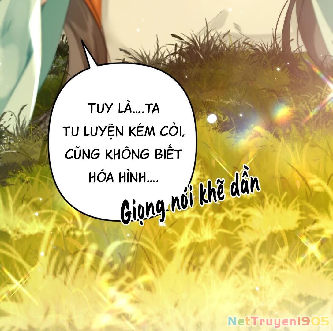 Đông Hải Tìm Mỹ Nhân Chapter 13 - Trang 2
