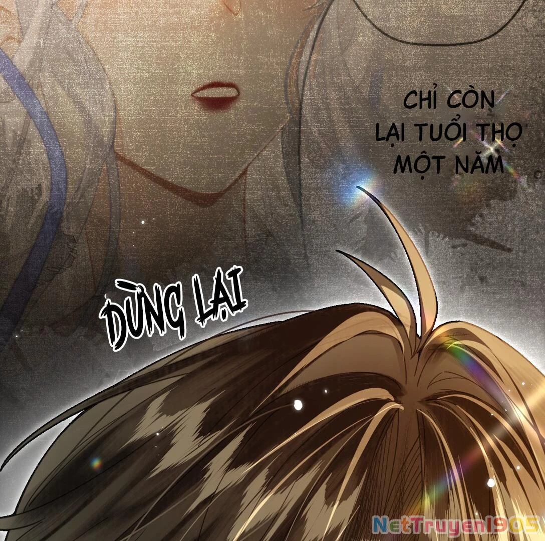 Đông Hải Tìm Mỹ Nhân Chapter 13 - Trang 2